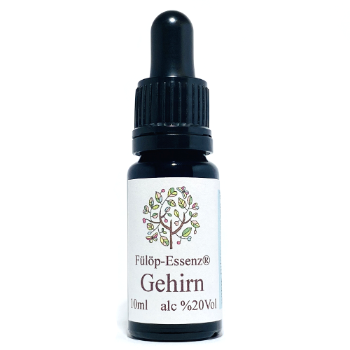 Fülöp Gehirn - Pipette, 10ml